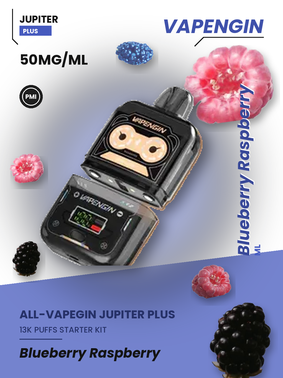 Vapengin Jupiter Plus Starter Kit Blueberry Raspberry Blueberry Raspberry disposable vape